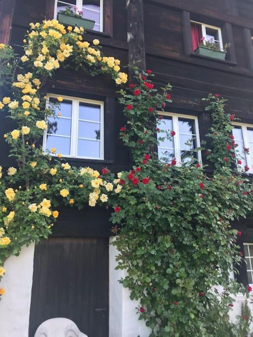 Charming Alps Apartment Perfect For Walk/Cycle/Ski Eschenbach 외부 사진